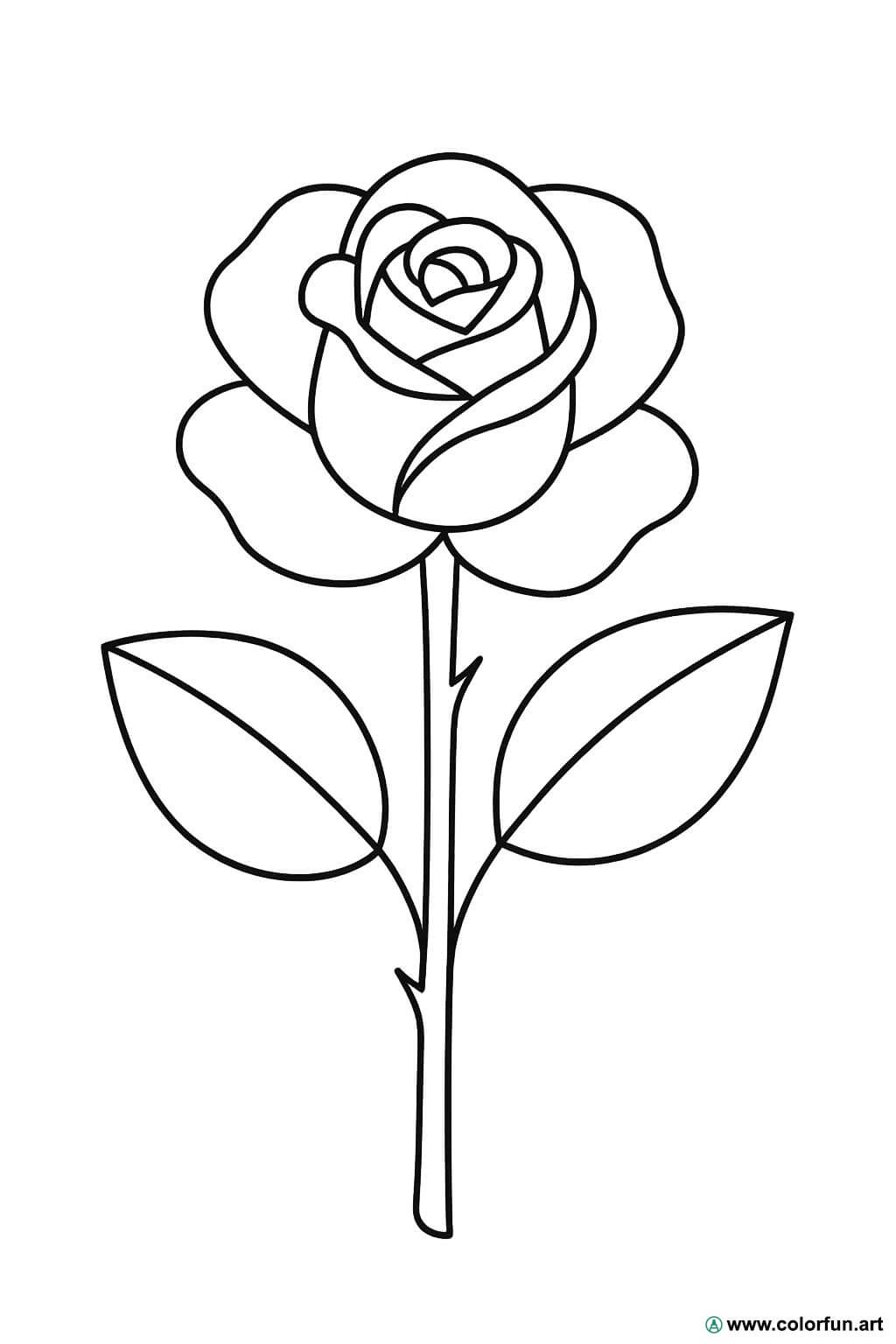 Disegnare Cuore Con Il | TikTok, image size:1024x1536