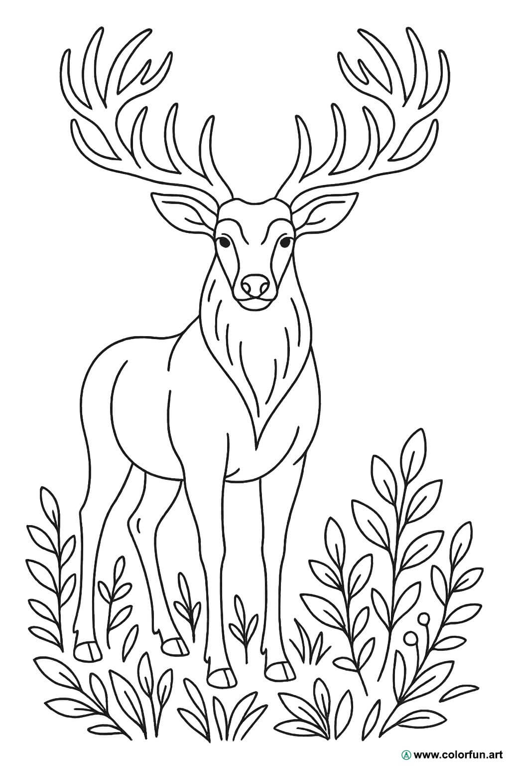 Kleurplaat van de majestueuze hert Gratis te downloaden of af te drukken, image size:1024x1536
