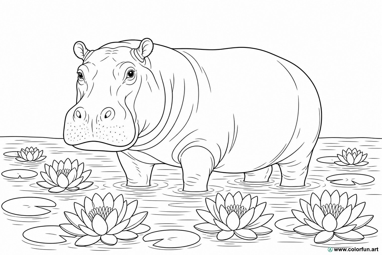 disegno da colorare ippopotamo realistico