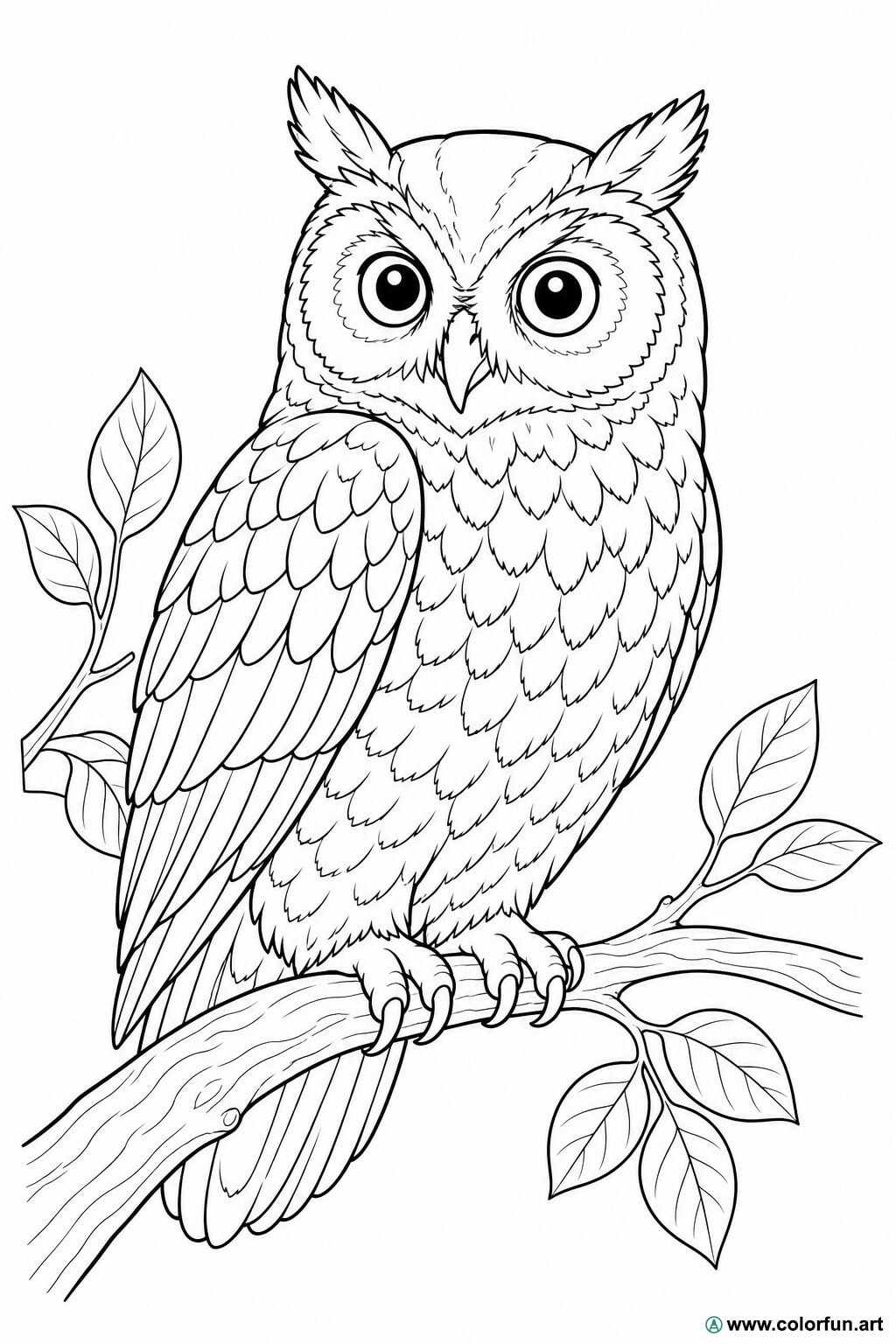 disegno da colorare gufo realistico