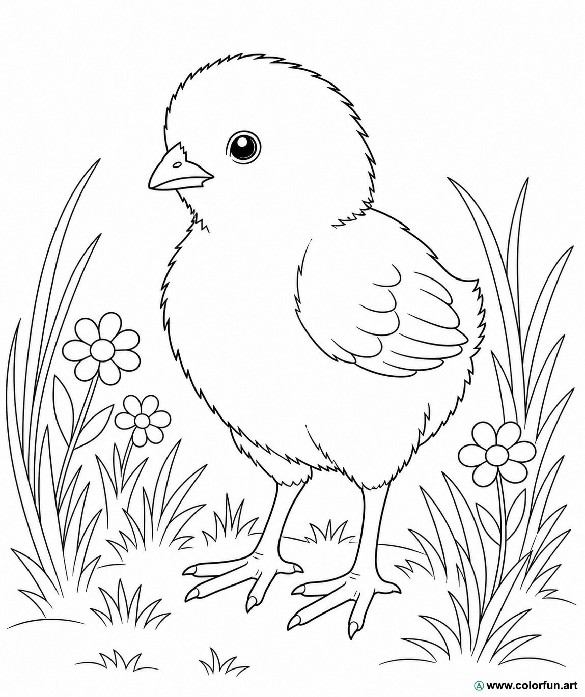 disegno da colorare pulcino realistico