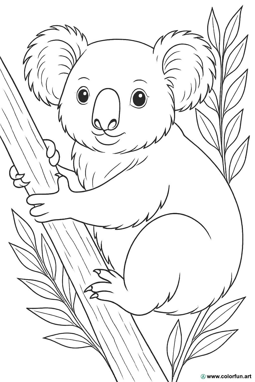 kolorowanka koala realistyczna