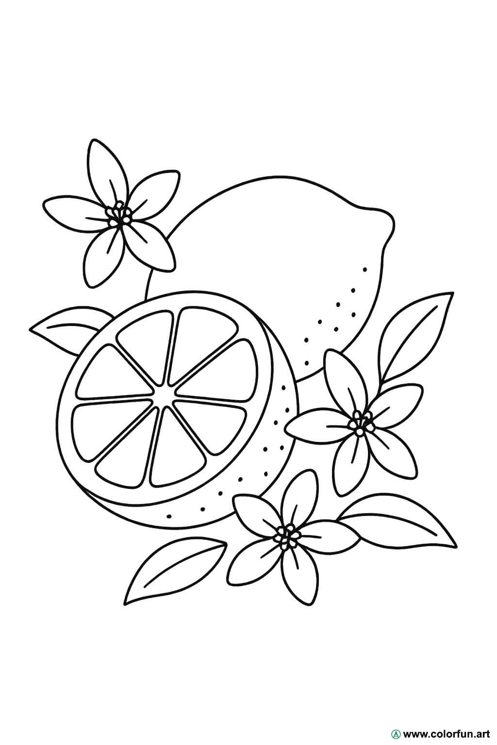 Coloring page of a lime (green lemon) Download or Print for free