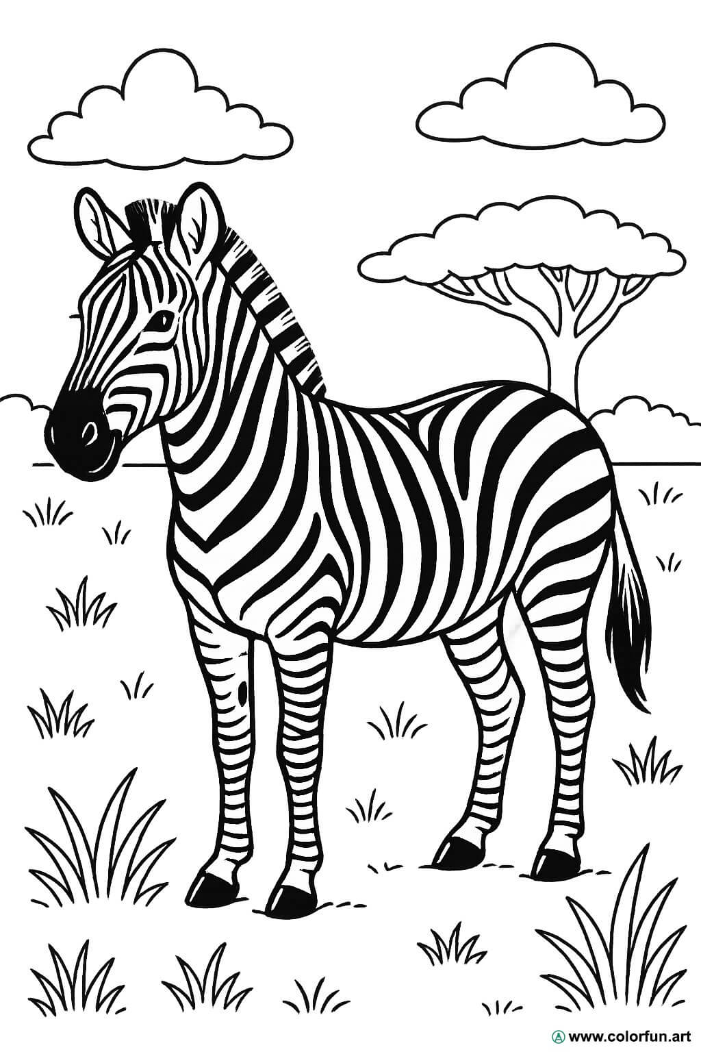 kolorowanka zebra realistyczna