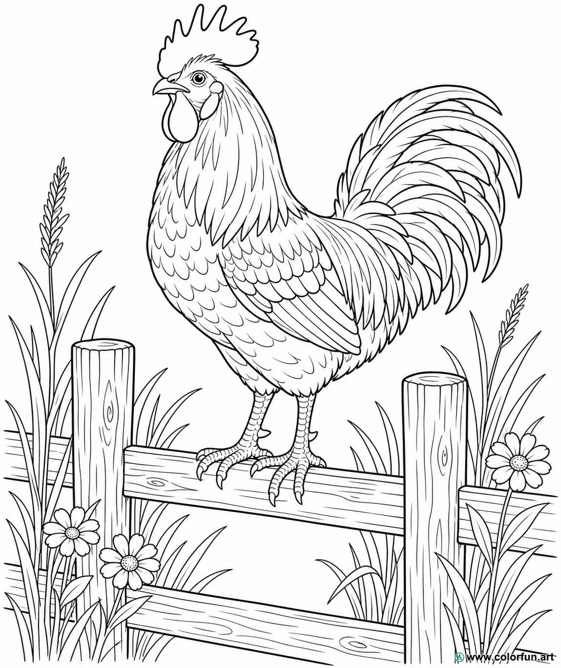 realistic rooster coloring page