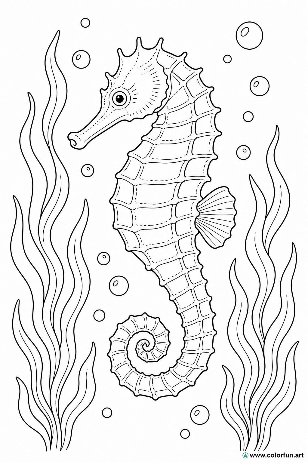 realistic seahorse coloring page