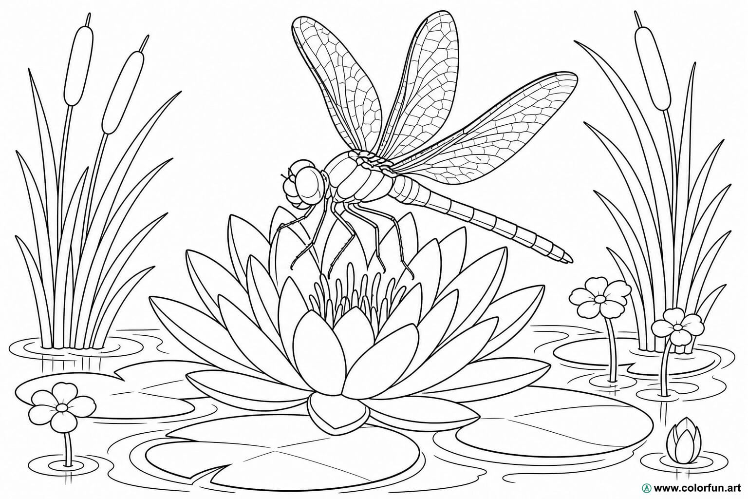 disegno da colorare libellula realistica