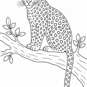 disegno da colorare leopardo corpo intero