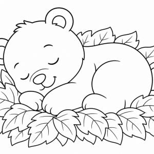 coloriage bébé animal ourson endormi