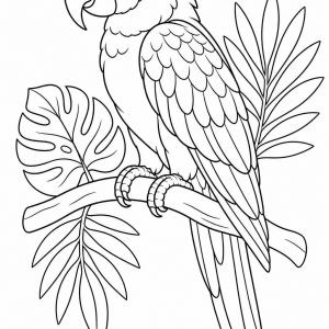coloriage oiseau exotique perroquet