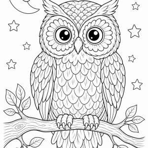 coloriage hibou illustré