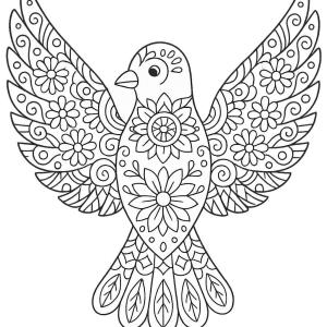 kolorowanka ptak mandala z wzorami
