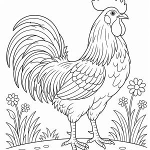 coloriage coq détaillé