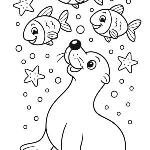 sealion and fish coloring page