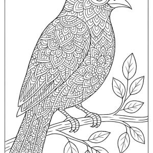 kolorowanka ptak mandala do podarowania