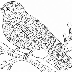 dibujo para colorear pájaro mandala invierno