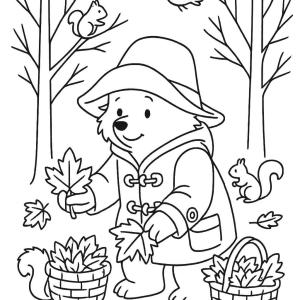 paddington coloring page and autumn