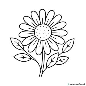 dibujo para colorear margarita flor