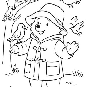 paddington coloring page and the birds