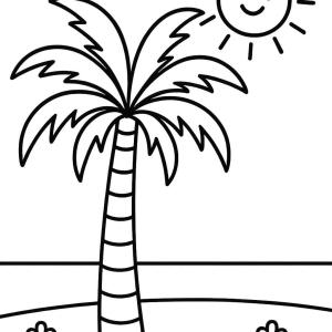 Palma