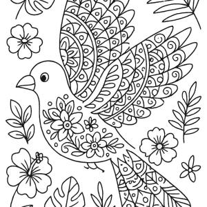 Ptak Mandala