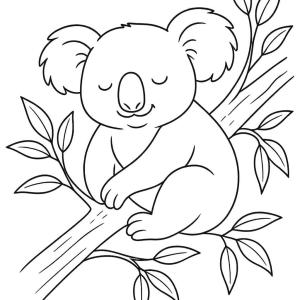 kolorowanka śpiący koala