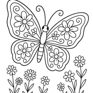 kolorowanka motyl lato