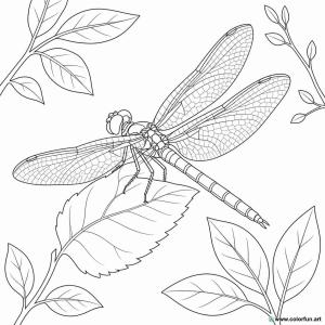 coloriage libellule forêt