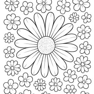 dibujo para colorear margarita flores