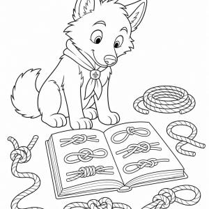coloriage louveteau apprentissage nœuds