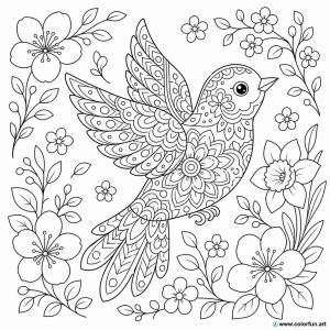 dibujo para colorear pájaro mandala primavera
