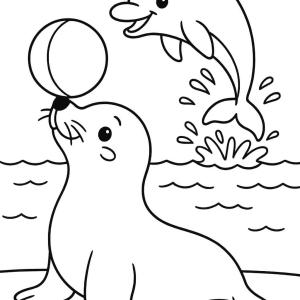 coloring page seal and dolphin