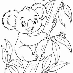 coloriage koala difficile