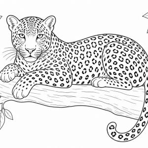 disegno da colorare leopardo realistico