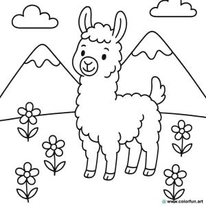 kolorowanka lama w przyrodzie