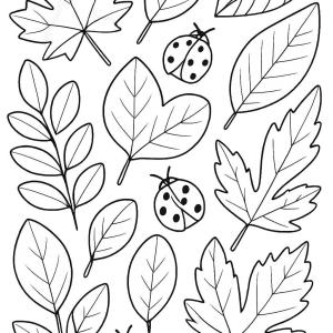 30 Desenhos Para Colorir De Folhas De Árvore - Desenhos para colorir ...