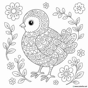 disegno da colorare pulcino complesso