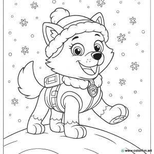 kolorowanka paw patrol everest