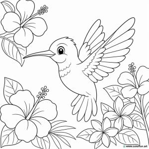 coloriage colibri petit