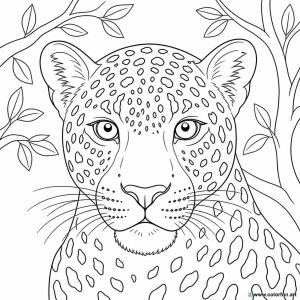 disegno da colorare testa di leopardo