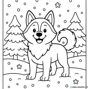 kolorowanka husky zimą