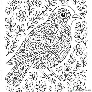 kolorowanka ptak mandala vintage