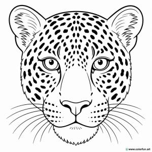 disegno da colorare viso di leopardo