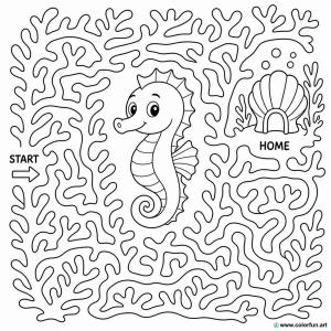 coloriage hippocampe difficile