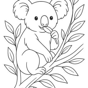 kolorowanka koala, który je