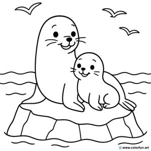 seal coloring page and its baby