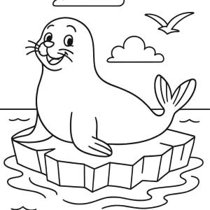 seal coloring page on the ice