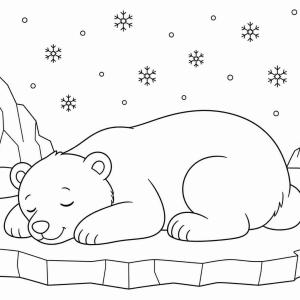 disegno da colorare orso polare che dorme