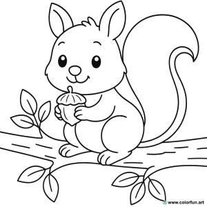 Wiewiórka