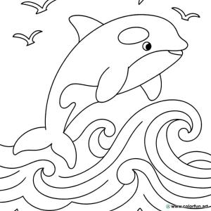 Orka